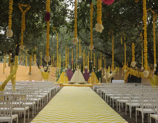 Party Plots in Vadodara for Unforgettable Celebrations